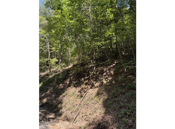 Progress Hill Boulevard, Pigeon Forge, TN 37863