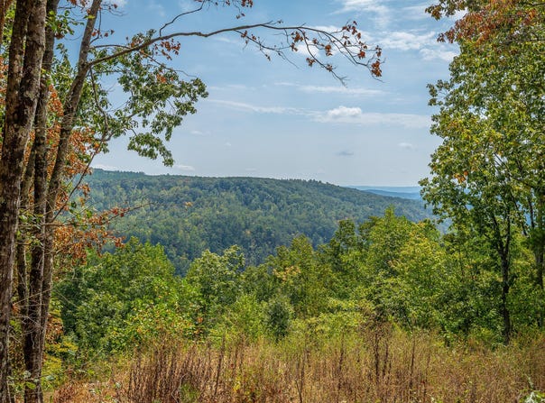 Split Rail Way lot: 1358, Guild, TN 37340