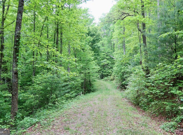 Bluff Mtn, Dillard, GA 30537
