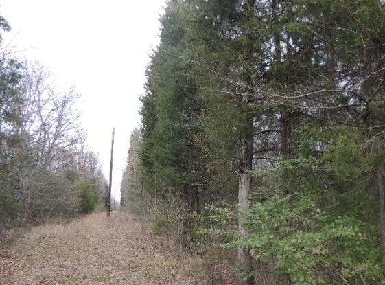 County Road 4455, Point, TX 75472