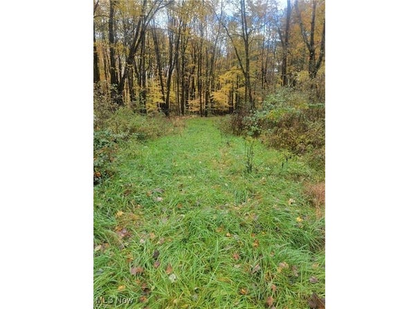 Schaen Drive, Andover, OH 44003