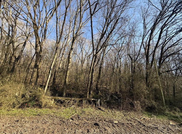 County Rd 91, Bryant, AL 35958