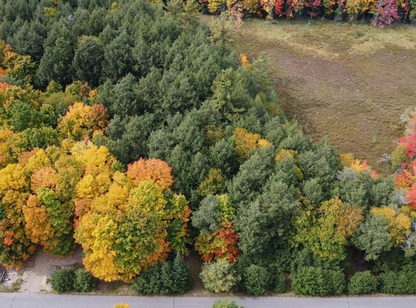 ON CONNORS RD, Three Lakes, WI 54562