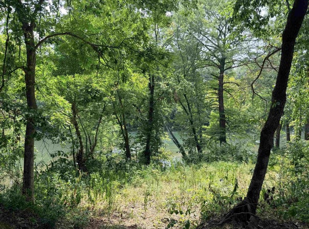 104 Adams Drive, Pangburn, AR 72121