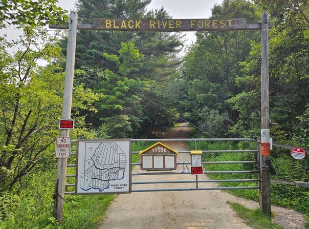 Bellingertown Rd, Forestport, NY 13338