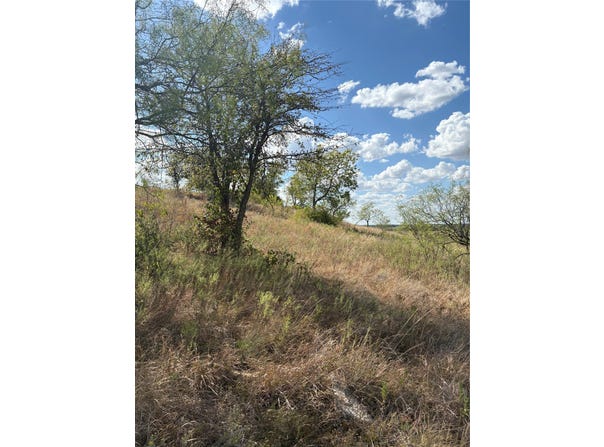 19 Parks Medow Dr., Gustine, TX 76455