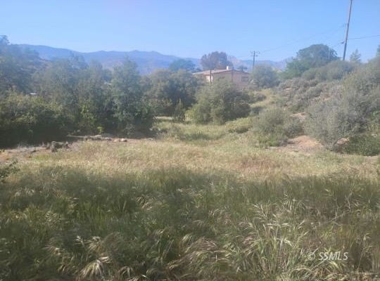 10809 Spring Ct, Bodfish, CA 93205
