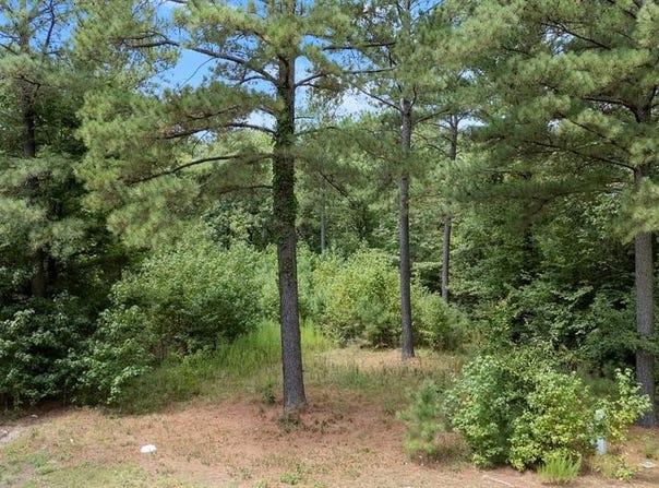 179 Coffee Tree Trail, Broken Bow, OK 74728