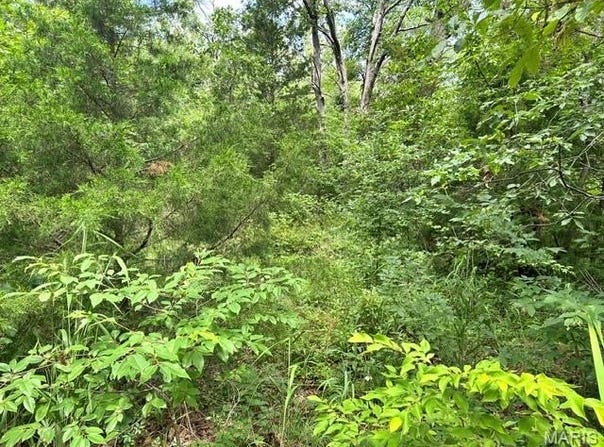 595 Utica Drive, Bismarck, MO 63624