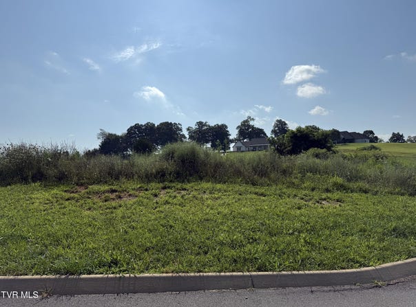 Uncle Buddy'S Way lot: 52, Jonesborough, TN 37659