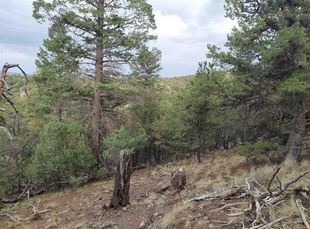 222 Sunrise Road, South Fork, CO 81154