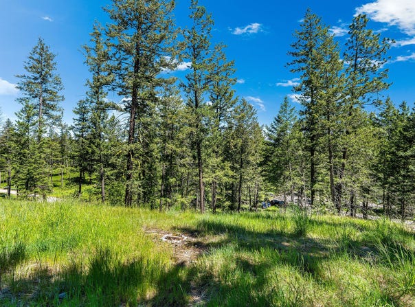 394 Windsor Court, Bigfork, MT 59911