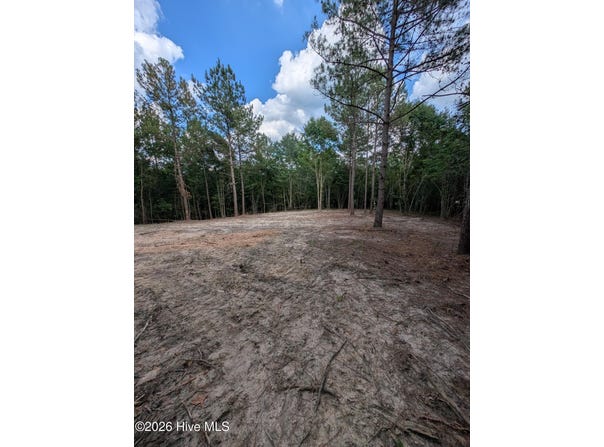 Peyton Drive lot: 2R-3, Eagle Springs, NC 27242