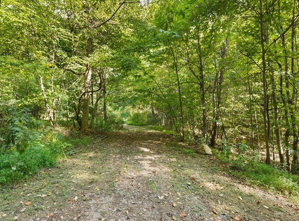S LONG BRANCH Ln, Lexington, VA 24450