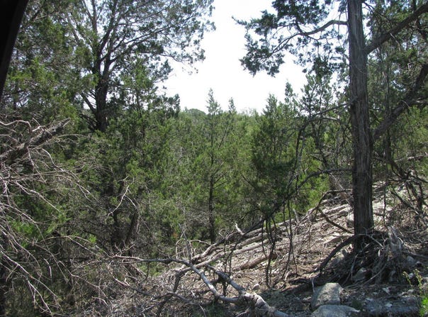 Private Road lot: 11 Ph 5, Evant, TX 76525