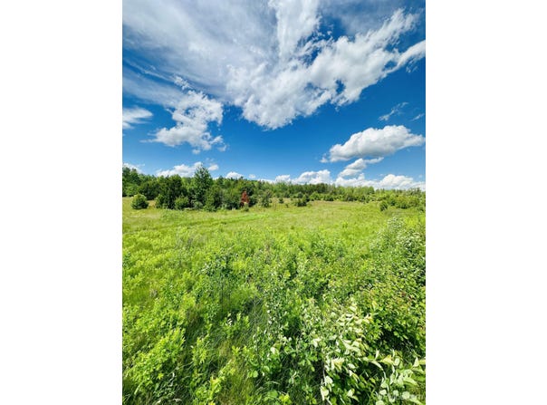 Hawks Drive lot: Parcel D, Republic, MI 49879