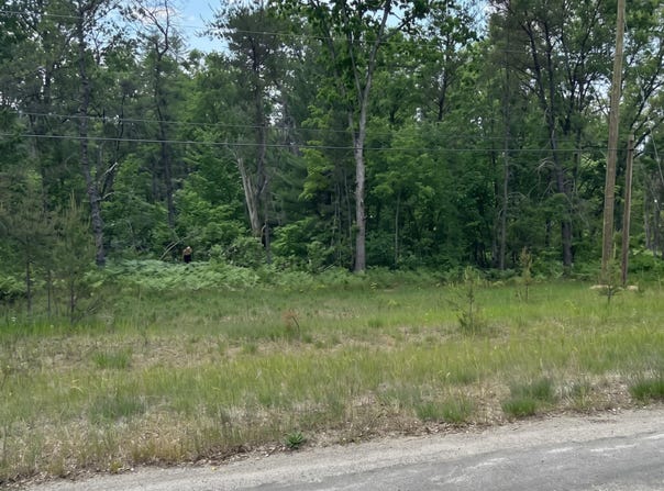 3188 S Yale Avenue, Baldwin, MI 49304