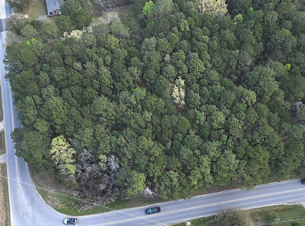 Clements Ferry Road, Wando, SC 29492