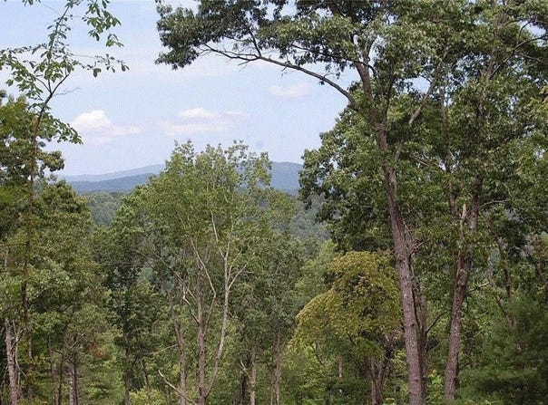 450 Back Pine Way, Ellijay, GA 30540