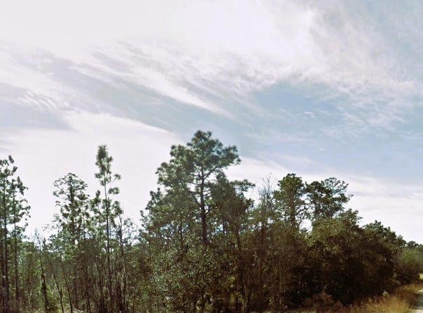 NE 3RD Place, Williston, FL 32696