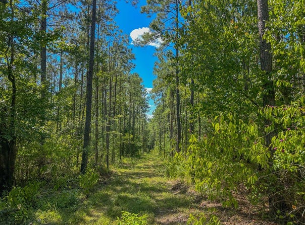 0 Co Rd 61, Pine Apple, AL 36768