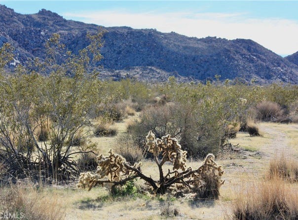 64647 Foothill Drive, Joshua Tree, CA 92252