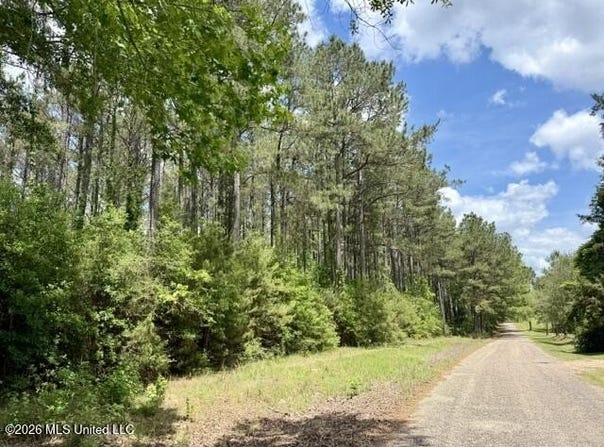Old State Line Road, Tylertown, MS 39667