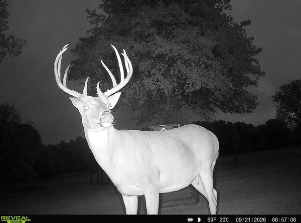 47Ac Highway 16, Shamrock, OK 74068