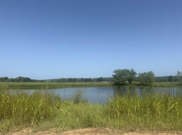 River Drift lot: 10, Heber Springs, AR 72543