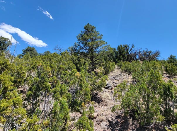SUNSET Drive, Eagar, AZ 85925