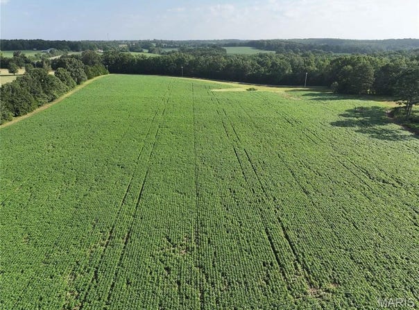29259 State Highway O, Marquand, MO 63655