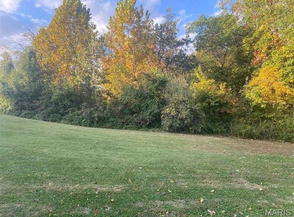 3 summerfield, Godfrey, IL 62035