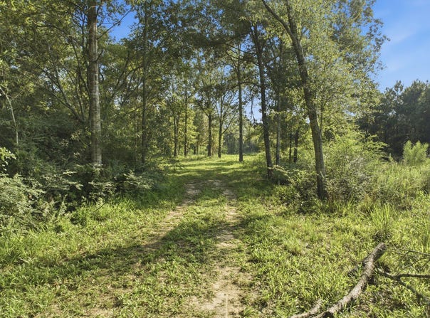 4th St, Mermentau, LA 70556