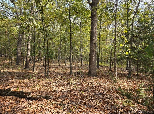 Forbes Road, Edwards, MO 65326