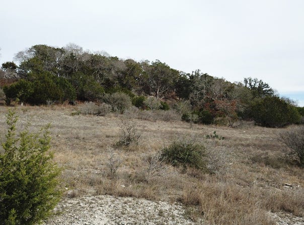 335 Arthur CT, Spring Branch, TX 78070