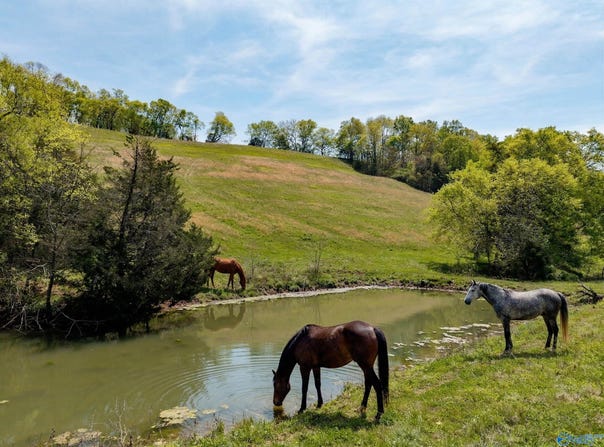 305 Ingram Road, Pulaski, TN 38478