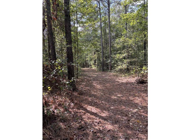 Avalon Road, Star City, AR 71667