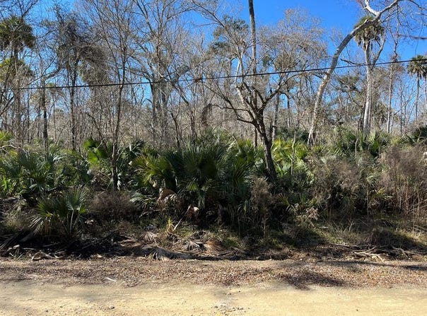 Ancient Oaks Dr, Steinhatchee, FL 32359