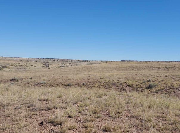 23 County Road 6030, Concho, AZ 85924
