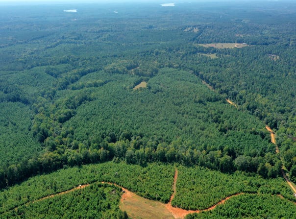 Tower Road, Franklin, GA 30240