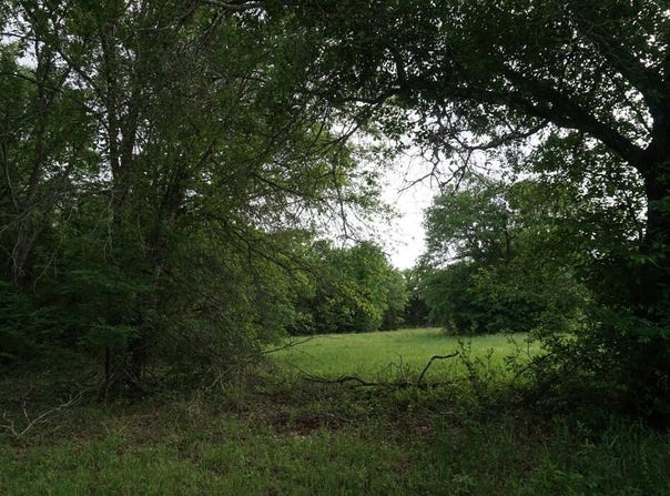 11919 CR 1200, MALAKOFF, TX 75148