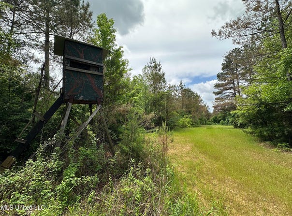 Highway 440, West, MS 39192