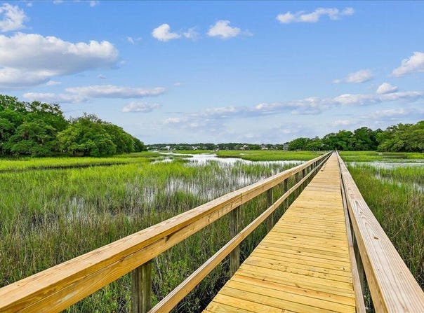 1237 Peregrine Drive, Charleston, SC 29412