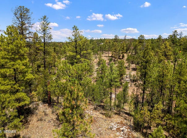2975 Canary Lane, Heber, AZ 85928