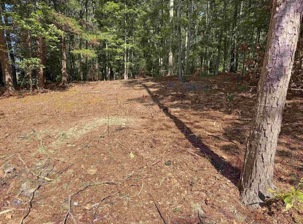 160 John A Trail, Mountain View, AR 72560