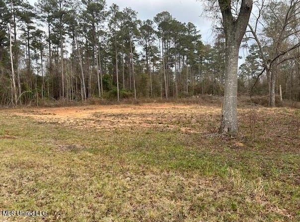 1028 Chester Reeves Road, McComb, MS 39648