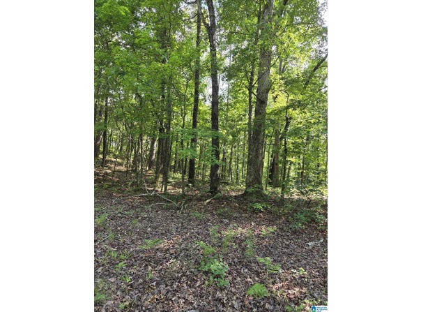HIGHWAY 280 lot: 5, SYLACAUGA, AL 35150