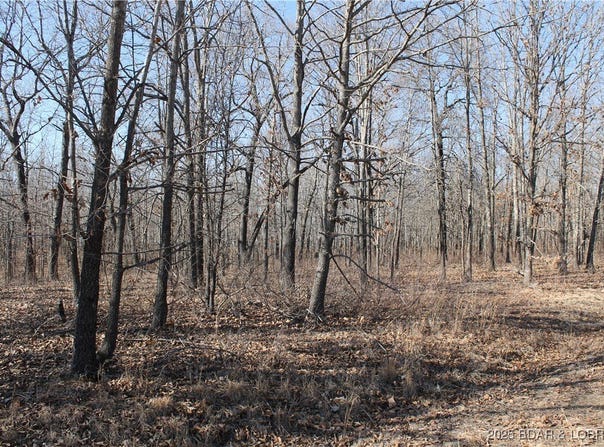 Bowden Place, Edwards, MO 65326