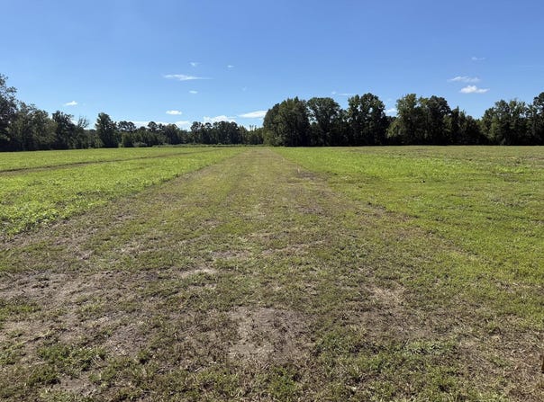 15844 Ace Basin (Lot #3) Parkway, Round O, SC 29474