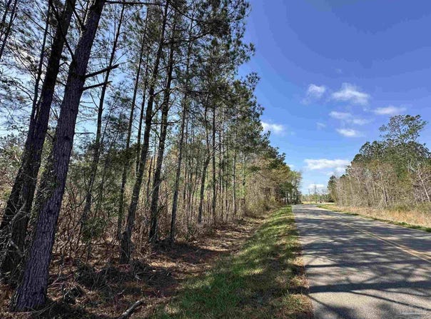 Snider Rd lot: A1, Frisco City, AL 36445